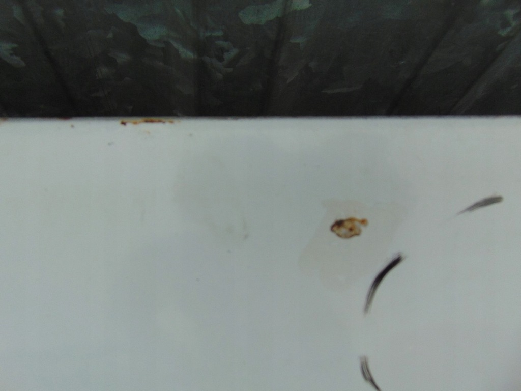 фото №8, Капот mercedes sprinter 906 europa белый