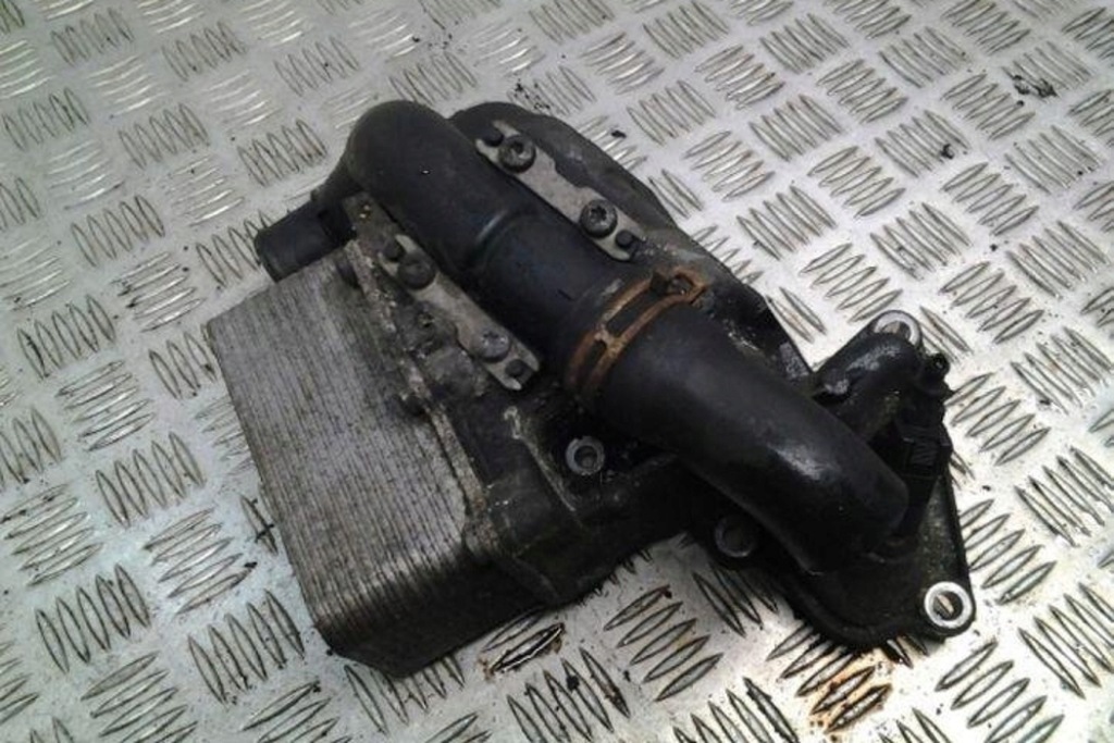 Купити Радіатор оливи renault master 3 10 2