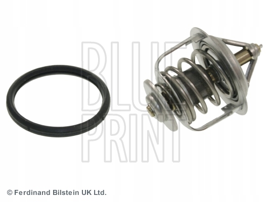 фото №3, Blue print add69203