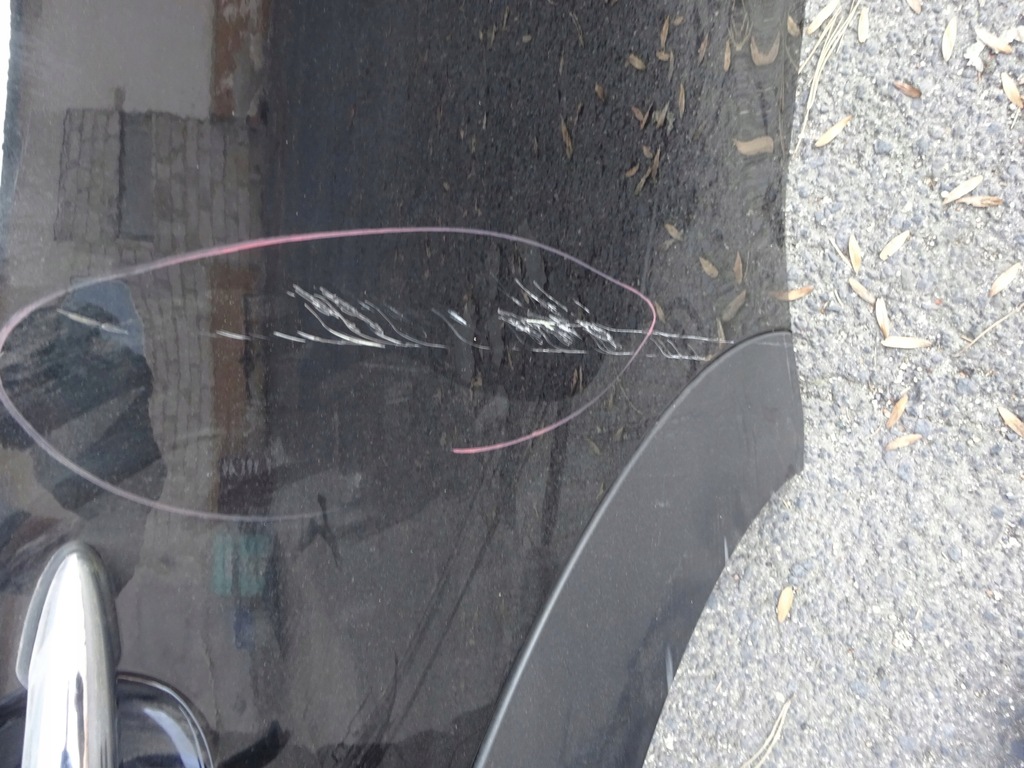 фото №6, Volkswagen оригінальний номер mini cooper countryman r60 all4 двері задня двері