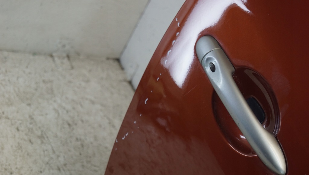 фото №10, Двері правий перед renault megane iii coupe