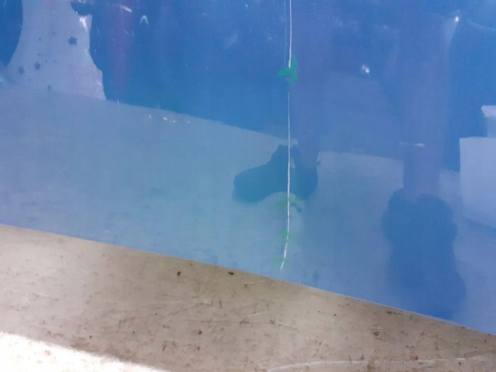 фото №5, Капот renault zoe lift 2018-