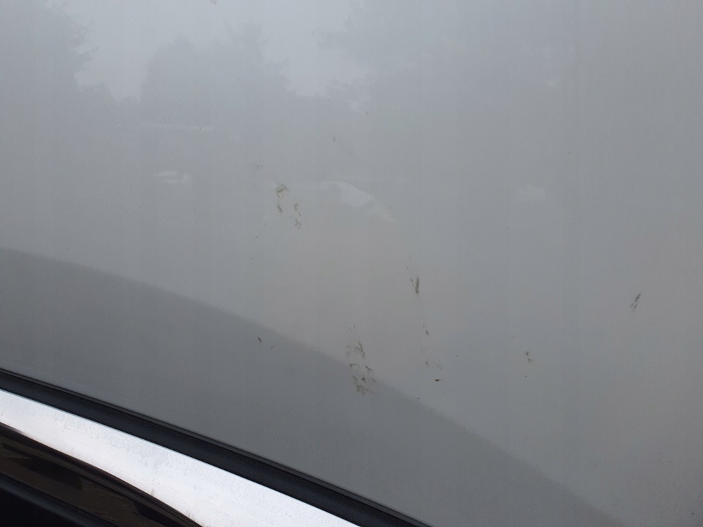 фото №6, Peugeot 3008 ii 16-23 дверь правое правый перед w цвет kwe передние