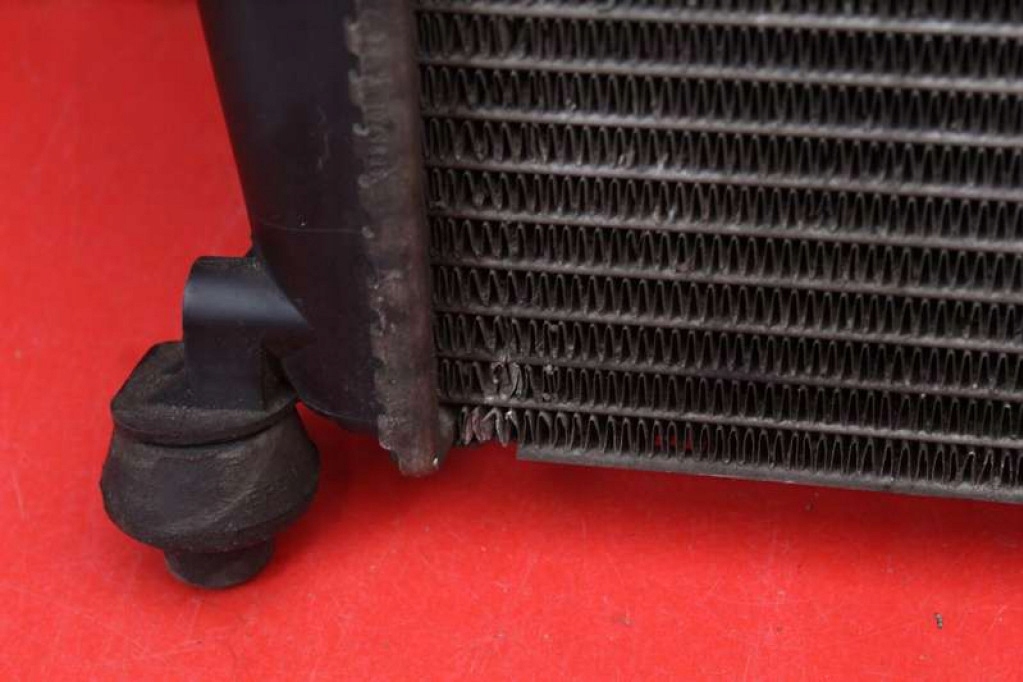 Радіатор води nissan qashqai 1 1 2.0 16v 141 km 07-10 Ціна