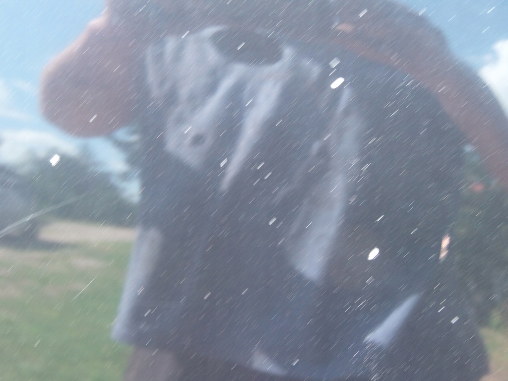 фото №8, Капот малий решітка радіатора lz9w audi a3 8p 2.0 tdi 3d