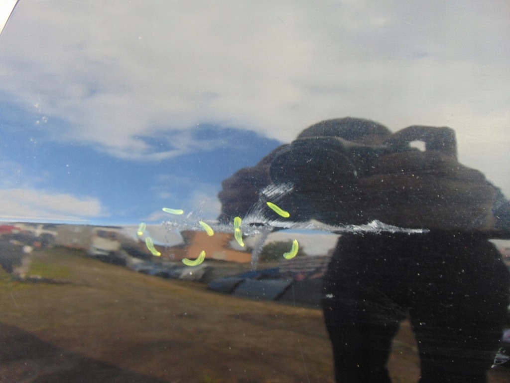 фото №7, Двері лівий задня opel antara