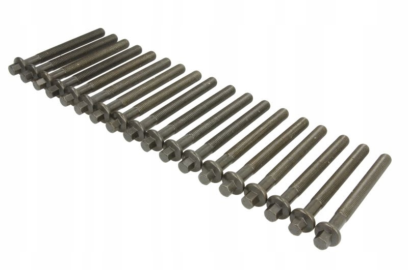 фото №3, Болты головки renault koleos 2,5 08-