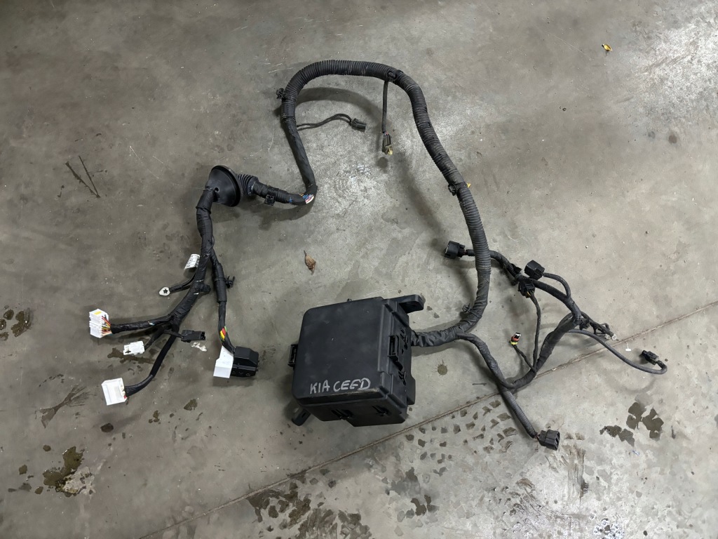 фото №1, Коробка предохранителей корпус kia ceed i lift бензин