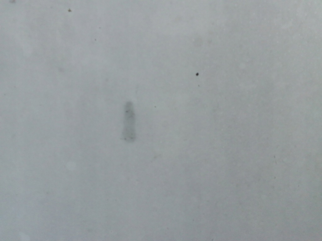 Капот bmw e90 Київ