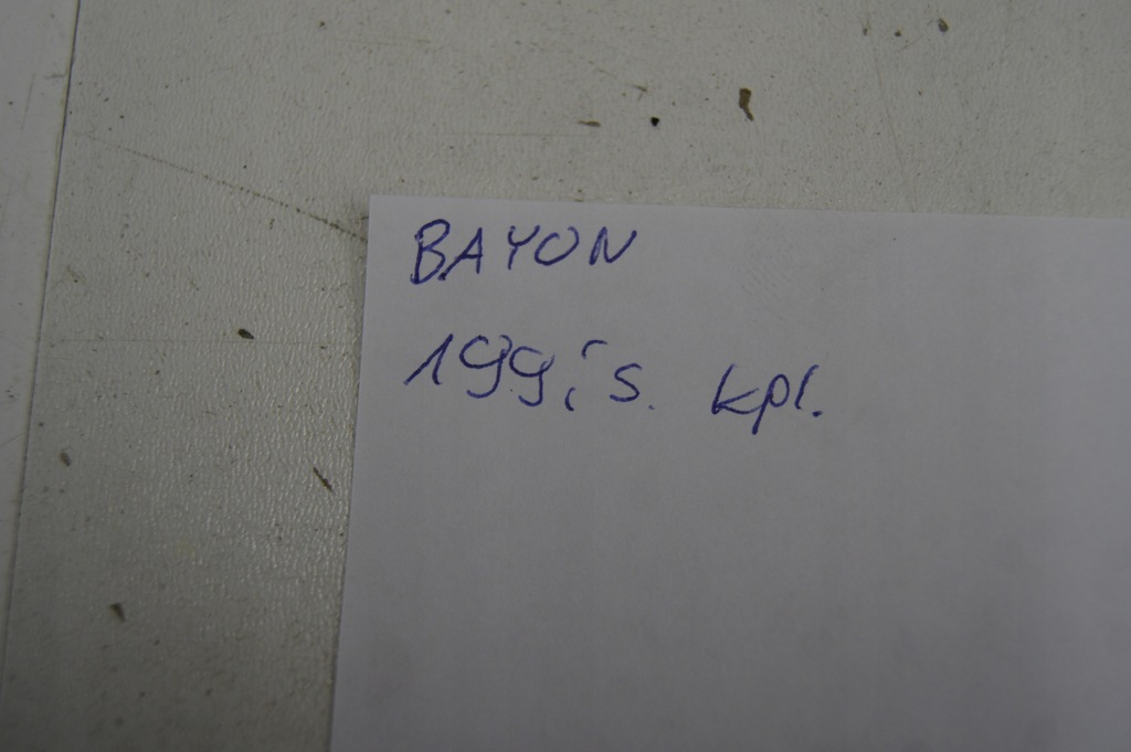 фото №16, Bayon захист сонцезахисна ліва + права