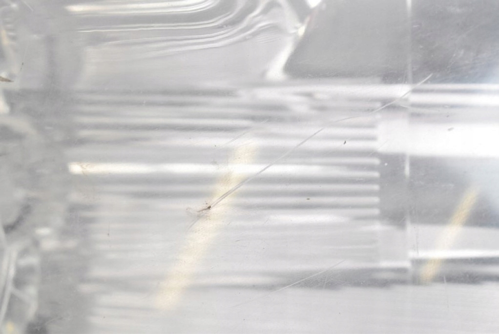 фото №10, Фара правый лампа перед eu mr957354 mitsubishi colt 6 vi z30 02-09