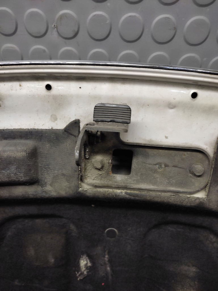 фото №11, Tata indica капот передня