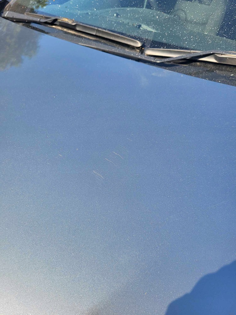 фото №6, Капот opel insignia a z179