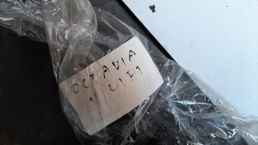 фото №13, Решётка бампера средняя skoda octavia ii lift