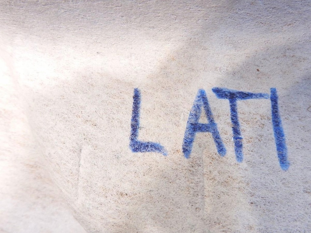 фото №3, Стеля renault latitude