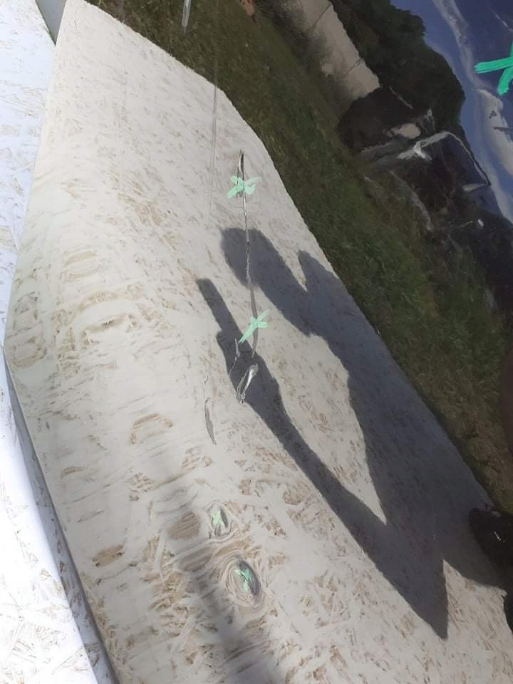 фото №4, Дверь правое перед renault wind 2010-