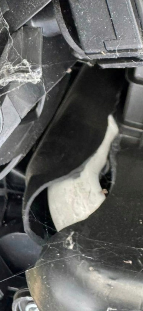 фото №8, Отопитель комплектная оригинальный номер 9819556080 peugeot 308 ii 2 t9