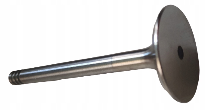 Клапан впускний  freccia 4899/bmarcr 1.9td 2.4d vw audi Ціна