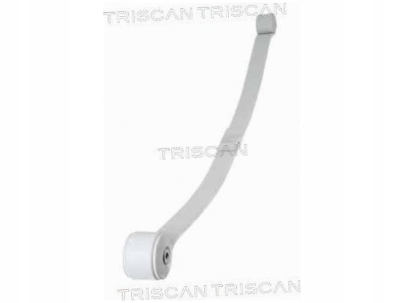 фото №2, Ресора задня triscan 8765 16048