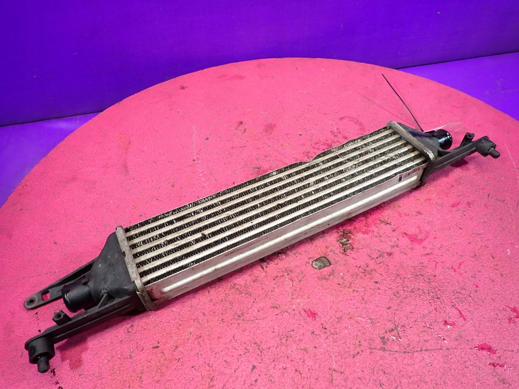 фото №1, Grande punto 05-10 1.3 інтеркулер 51836369