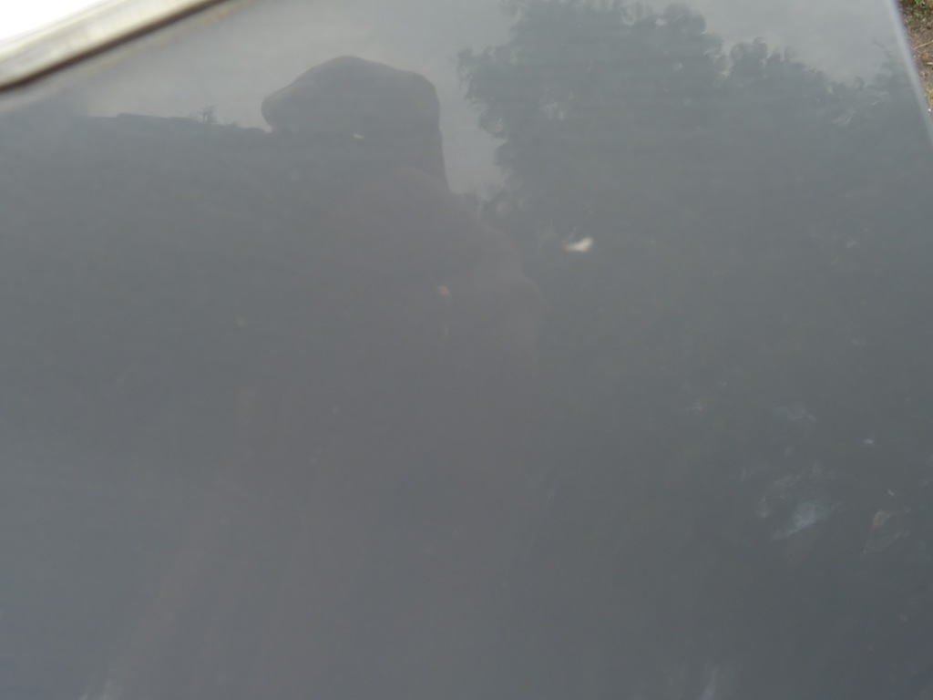 фото №13, Крыло перед передний левый seat leon ii lift lz7x