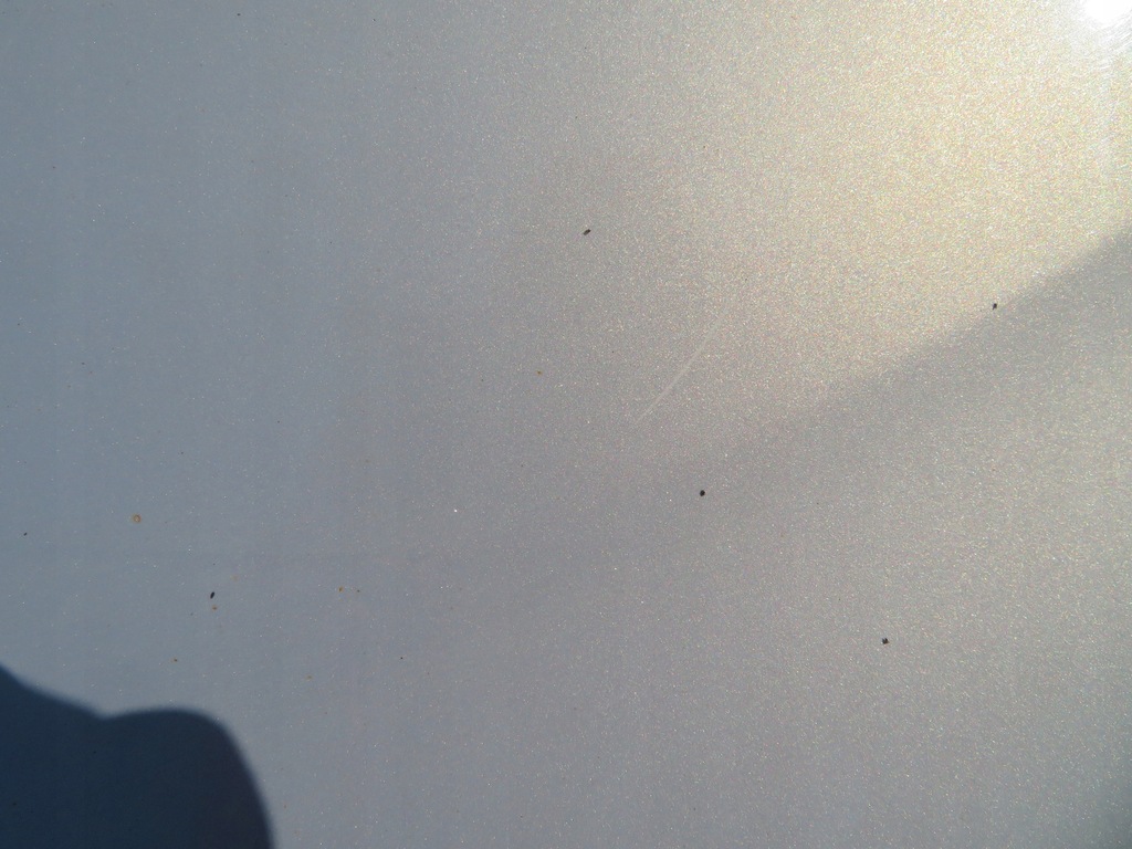 фото №14, Ford c-max mk2 2 ii 10-19 крила лівий передній