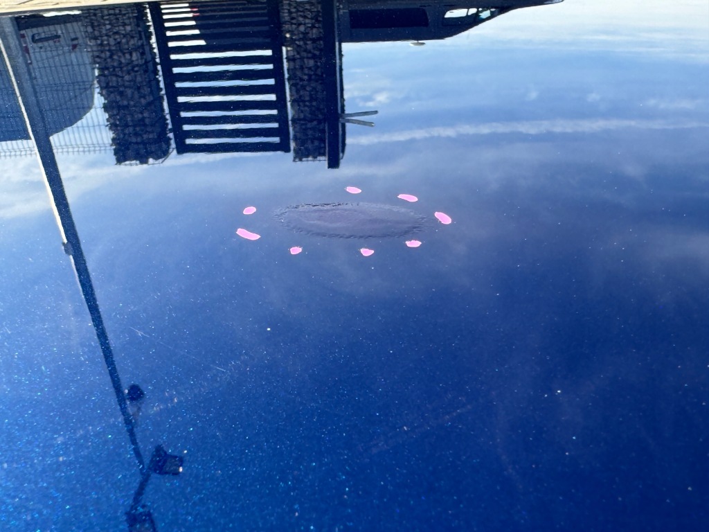 Audi a4 8w0 8w 16- капот кришка двигуна bdb в Україні