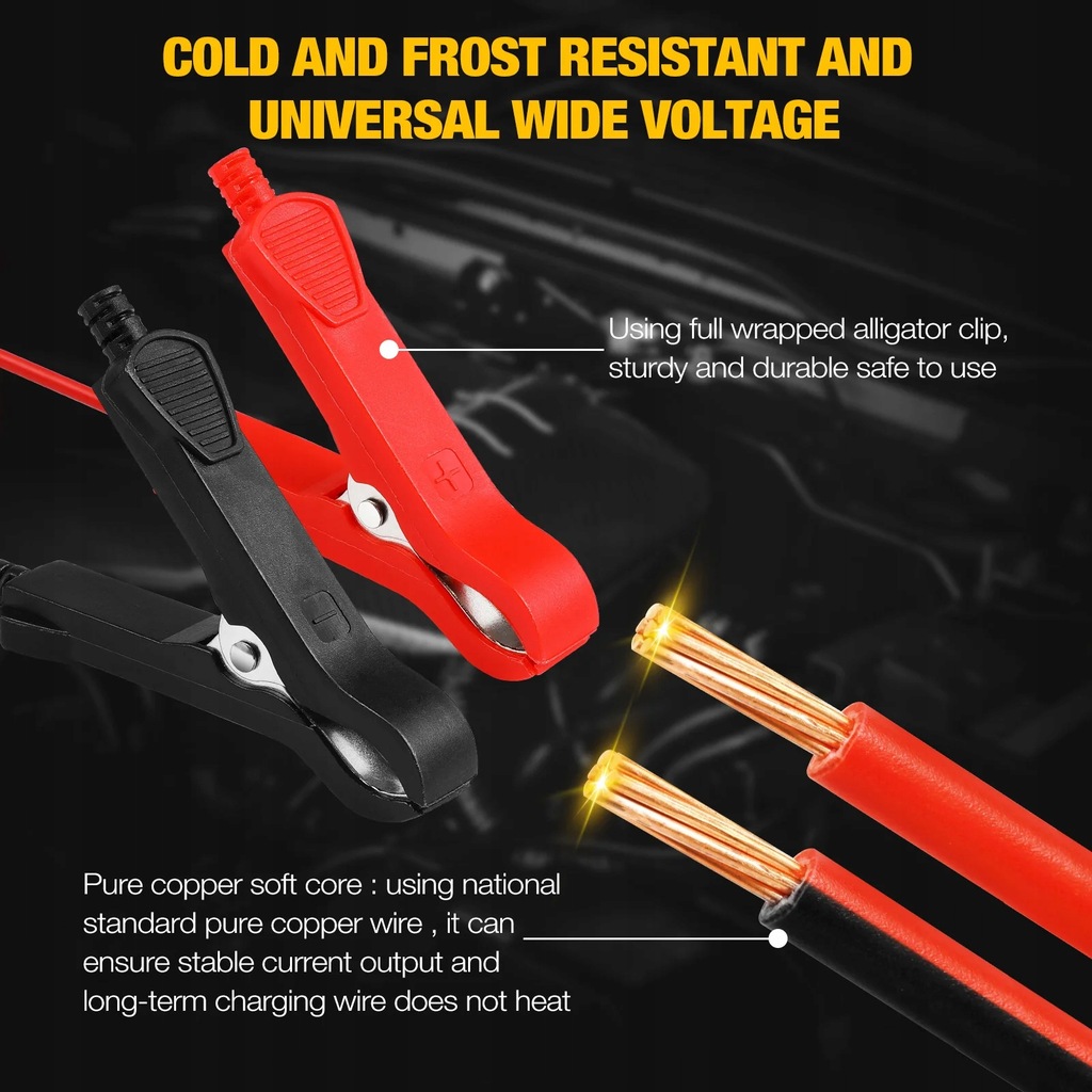 фото №5, Зарядний пристрій do акумуляторів автоматичний заряджання