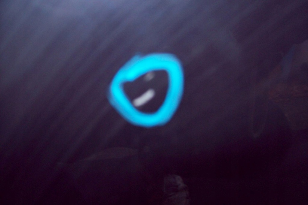 фото №5, Renault megane iii дверь правый задняя hb