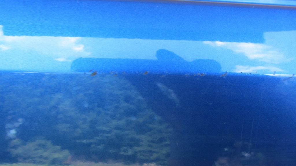 фото №9, Бампер задня задній kia x-ceed xceed 6xpdc