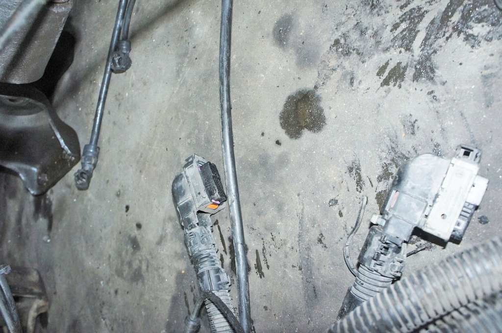 фото №12, Jp085 iveco stralis as440 10.3d джгут рами