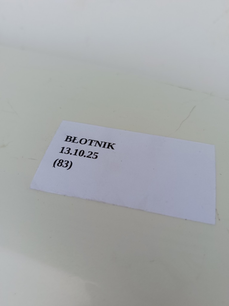 фото №11, Крыло правый перед передний infiniti q70 m30d m35 m37 m56