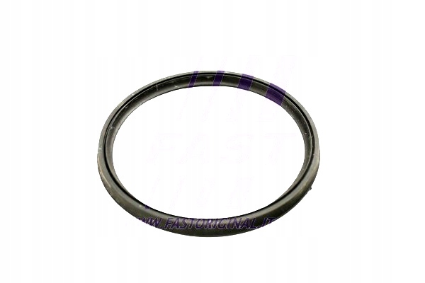 фото №2, Fast уплотнительное кольцо mercedes sprinter 06 906 труба int