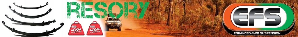 фото №8, Ресори амортизатори +2 cale ford ranger 06-11 efs