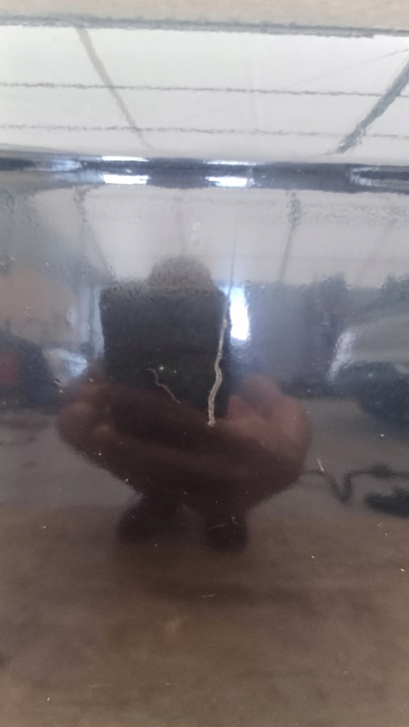 фото №7, Mercedes c-klasa w204 двері правий перед