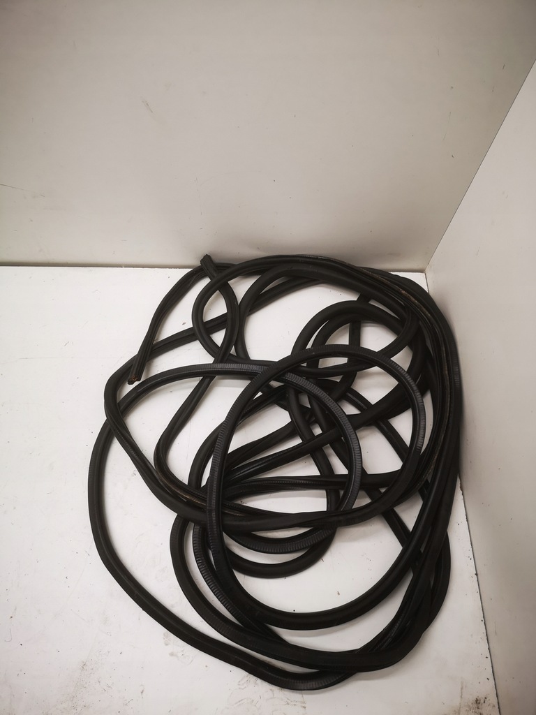 фото №1, Vw golf vui plus ущільнювач двері