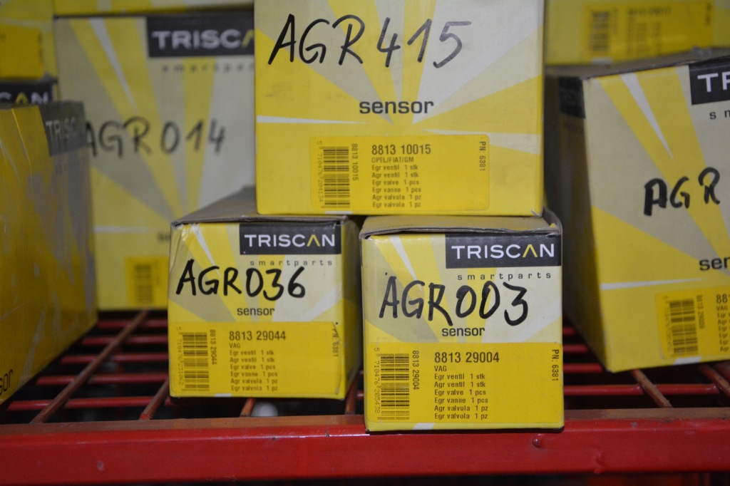 Купити Triscan 8813 29111 клапан agr