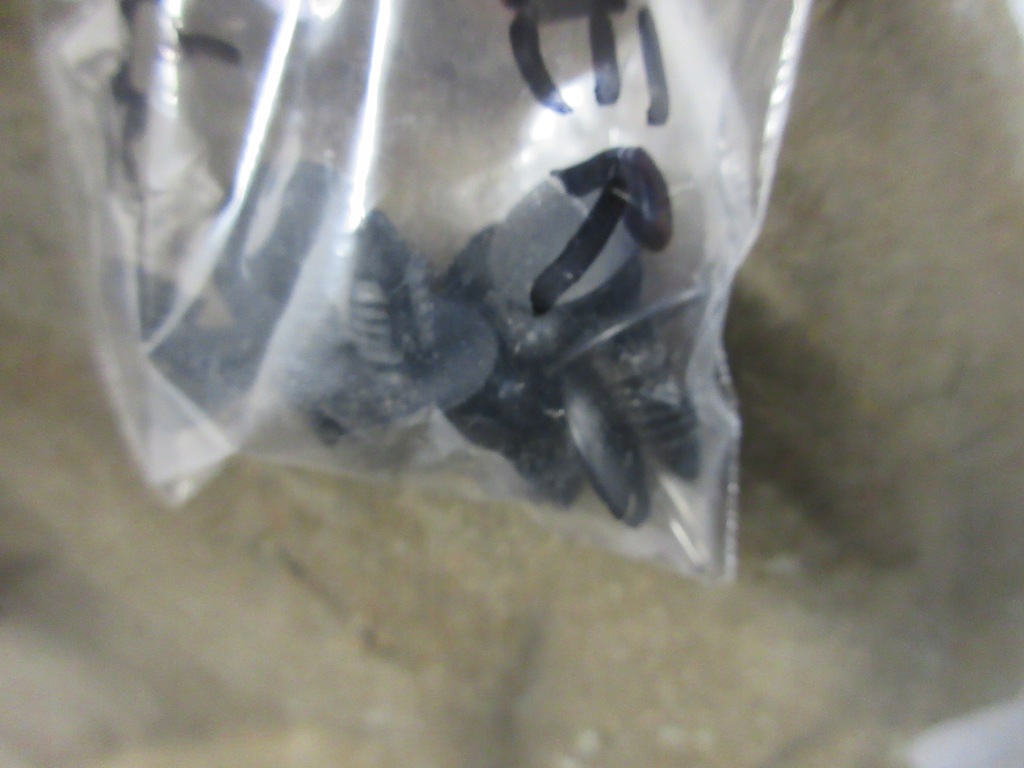 фото №7, Range rover l320 шумоізоляція капот