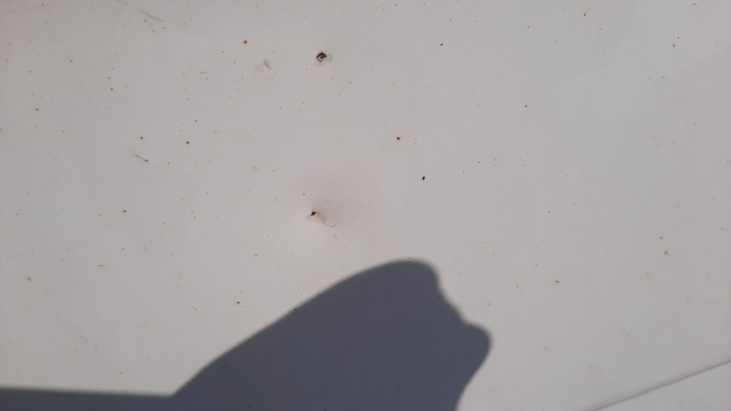 фото №5, Дверь задняя задние правое renault traffic iii