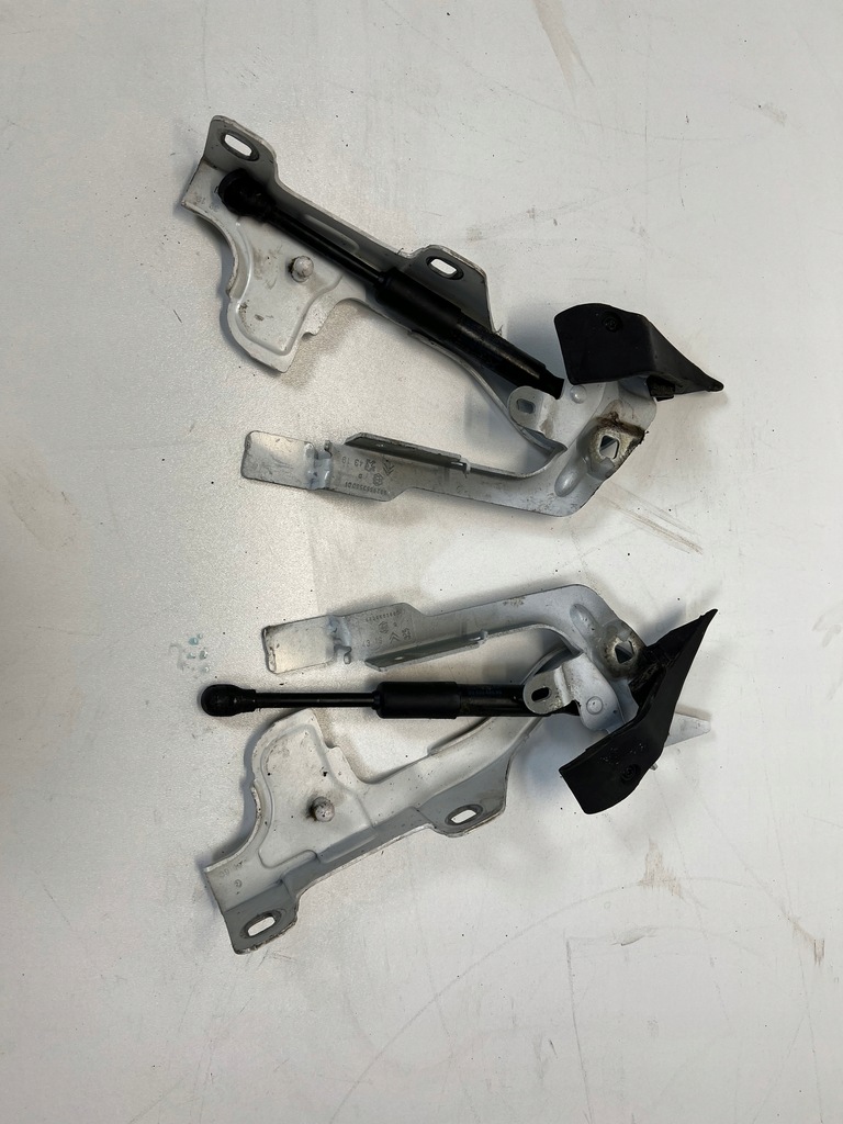 фото №1, Citroen ds7 петлі капот правий лівий комплект