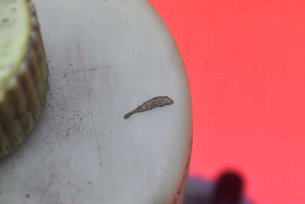 фото №10, Насос усилителя 6q0423371 seat cordoba 2 ii 6l 1.4 tdi 80 km 06-09