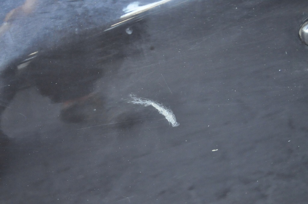 фото №9, Volvo s60 ii дверь левый задняя задние полный