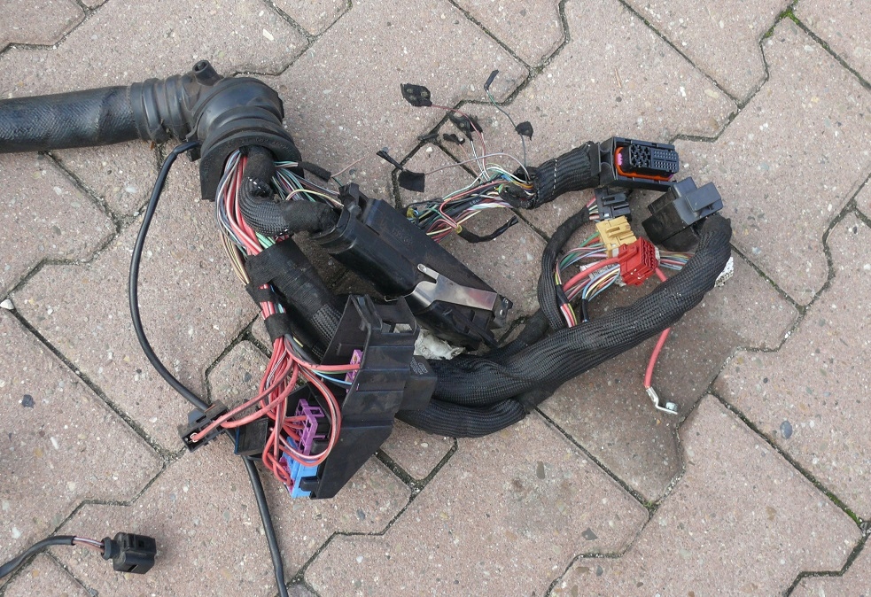фото №10, Електропроводка двигуна коробки передач audi a4 b6 3.0