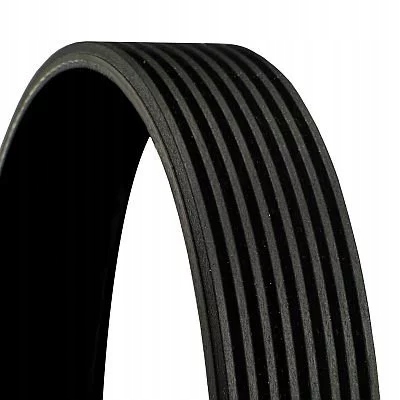 Купити Continental 8pk2465 contitech ремінь клиновий багатореберний 8pk2465