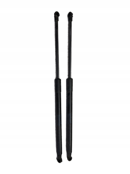 фото №1, Амортизатори кришки багажника smart forfour 453