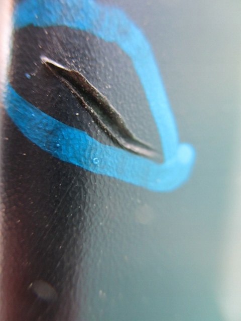 фото №9, Dacia оригінальний номер 620222633r бампер передній