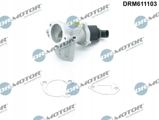 Купити Клапан egr agr drm611103 dr.motor automotive fiat
