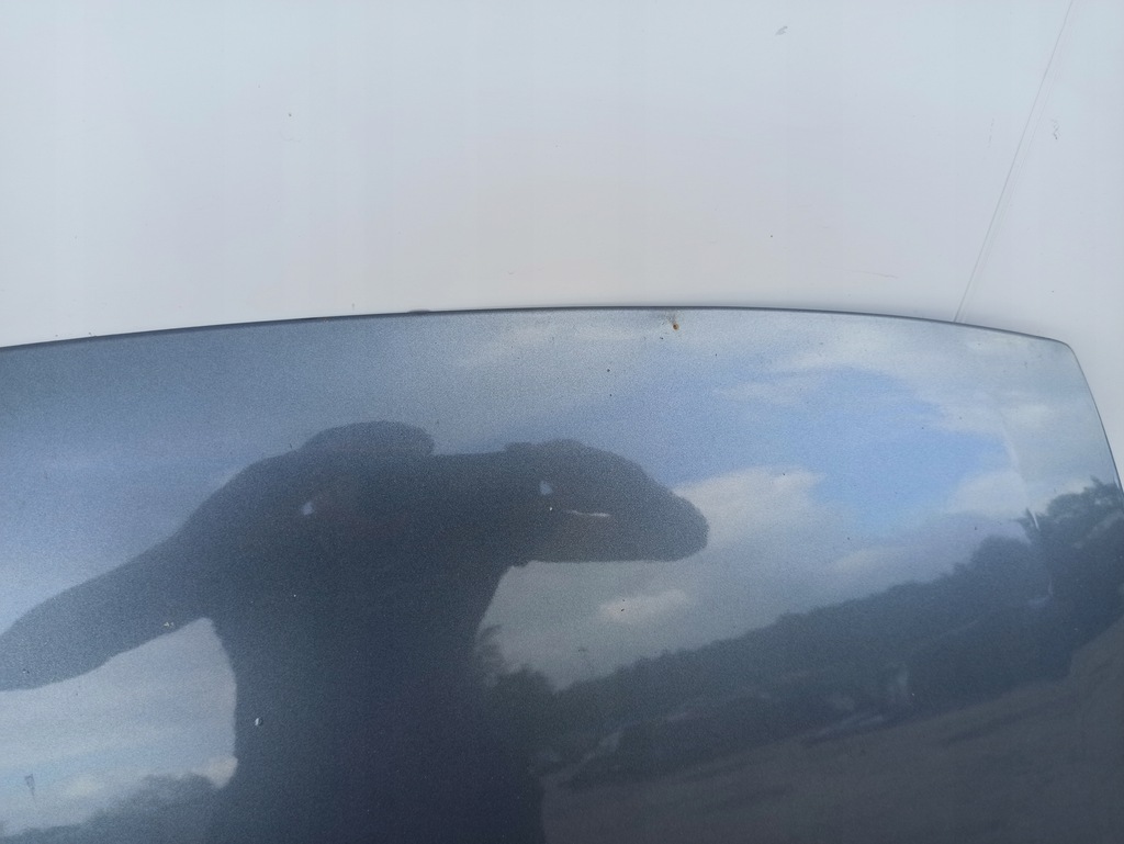 фото №7, Капот кришка двигуна citroen berlingo i lift peugeot partner 02-10 ezwc