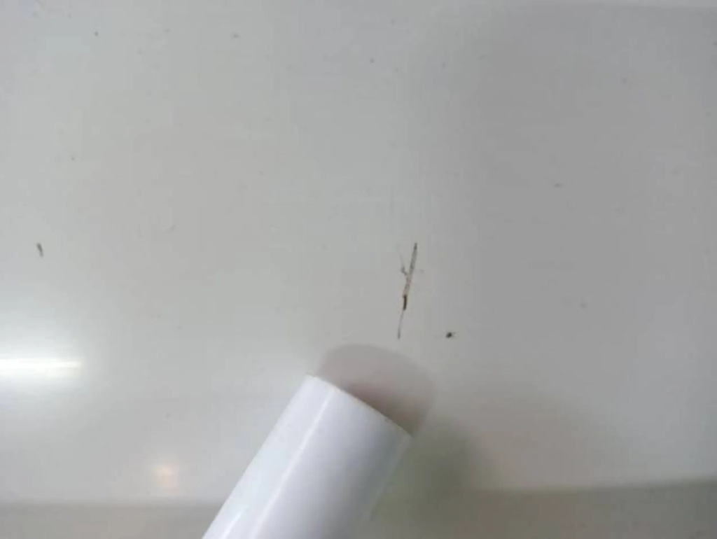 фото №4, Двері правий перед skoda rapid seat toledo lf9e