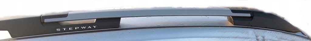 фото №1, Dacia sandero iii 3 stepway 2020- рейлінг даховий правий